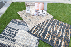 MOMENTUM AND SOURCE DIRECT NW